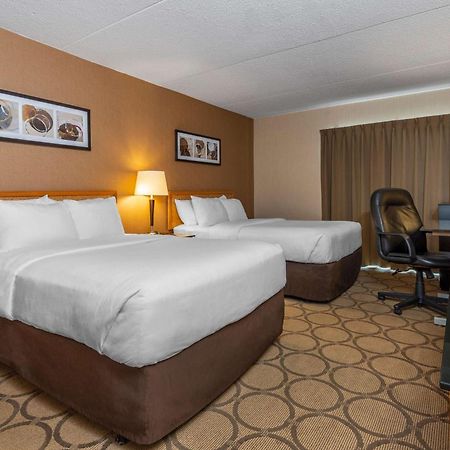 Comfort Inn Campbellton Zewnętrze zdjęcie