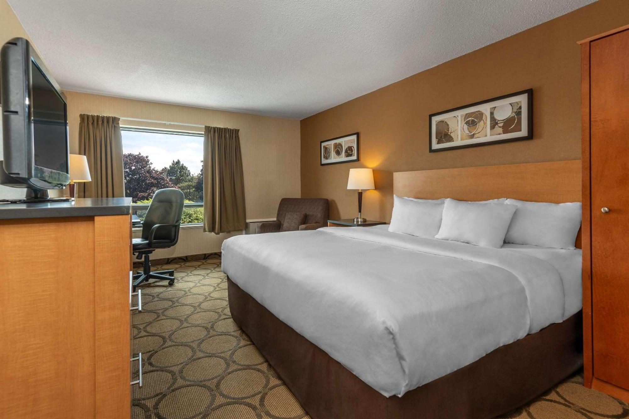 Comfort Inn Campbellton Zewnętrze zdjęcie