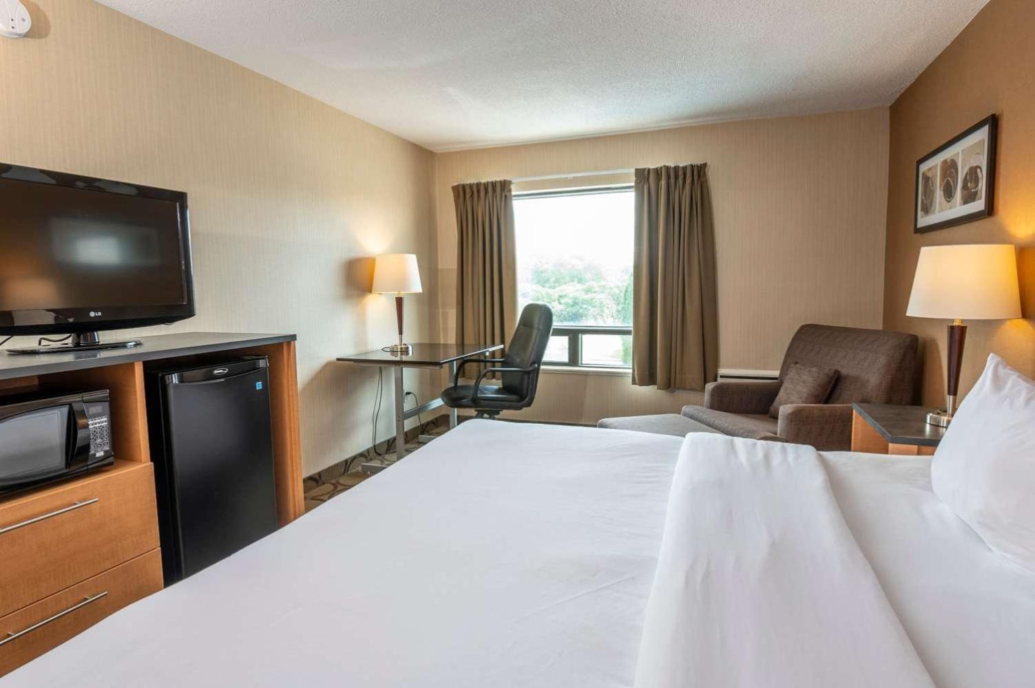 Comfort Inn Campbellton Zewnętrze zdjęcie